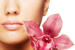 EpilFree