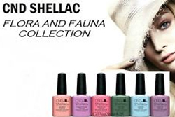 Встречайте: новая коллекция CND Shellac «Flora&Fauna» уже в салона! Встречайте: новая коллекция CND Shellac «Flora&Fauna» уже в салона!